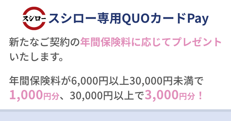 スシロー専用QUOカードPayについて 新たなご契約の年間保険料に応じてプレゼントいたします。年間保険料が6,000円以上30,000円未満で1,000円分、30,000円以上で3,000円分！