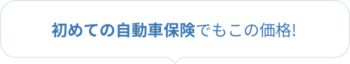 初めての自動車保険でもこの価格！