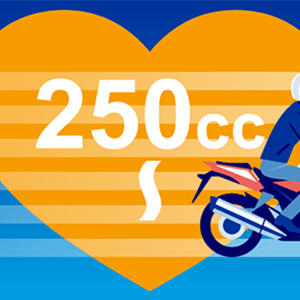 250cc�ȉ��̃o�C�N�ی��̃A�C�R��